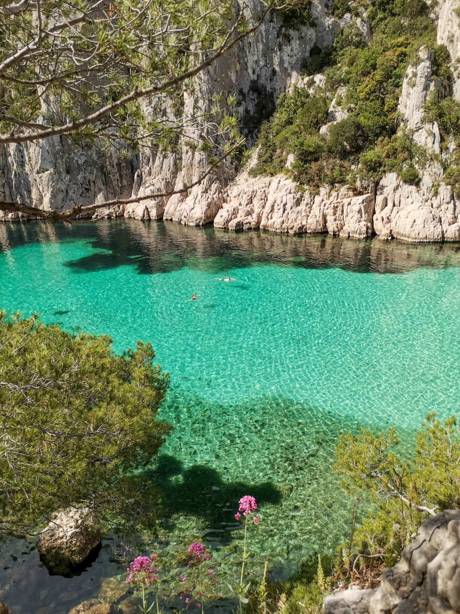 Falaises et eau turquoise des calanques de Cassis
